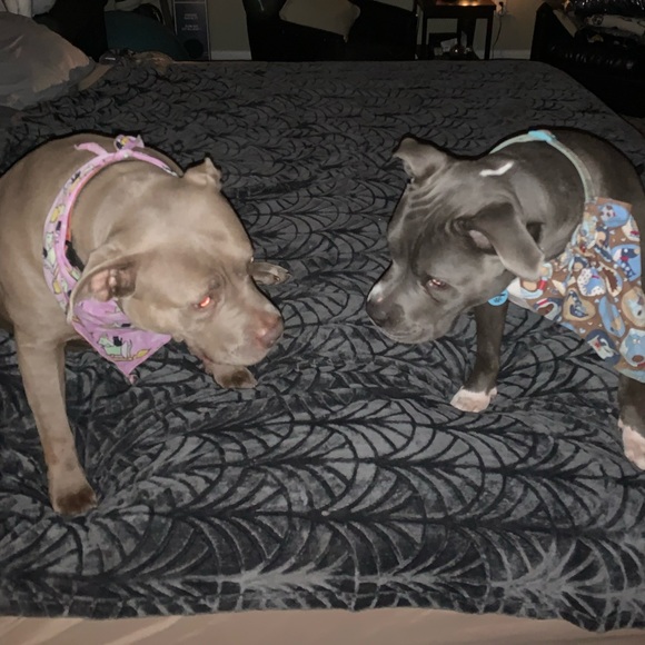 Meet your Posher, Debbie - Picture 5 of 6